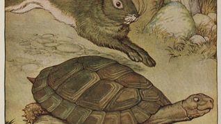 Image from the book "Aesop for Children" published by Rand, McNally & Co (Chicago, 1919) with illustrations by Milo Winters. Aesop's fables, folklore. Illustration of The Hare and the Tortoise, image 103/124 from LOC.
