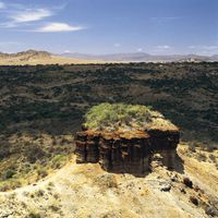 Olduvai Gorge, Tanzania
