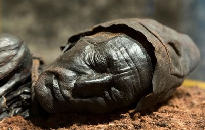 Tollund Man
