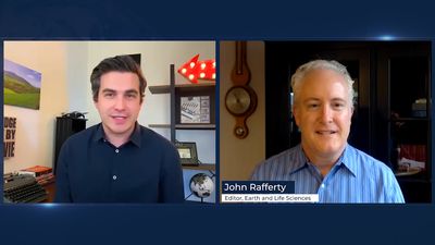 Learn about the Asian Giant Hornet and how they are a threat to honeybees