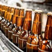 A photo of brown beer bottles without brand labels on a conveyor belt in a production facility.