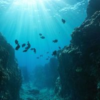 Underwater canyon