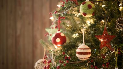 Christmas tree, holiday, pine