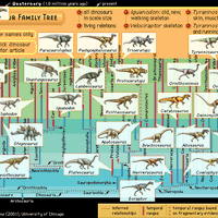 Dinosaur phylogeny, or family tree with individual dinosaurs visible.