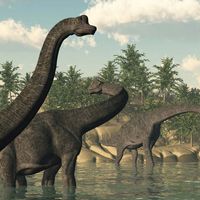 Brachiosaurus
