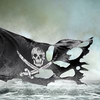 Pirate flag