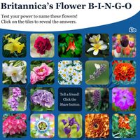 Britannica's Flower Bingo