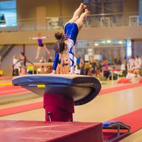 Youth gymnastics