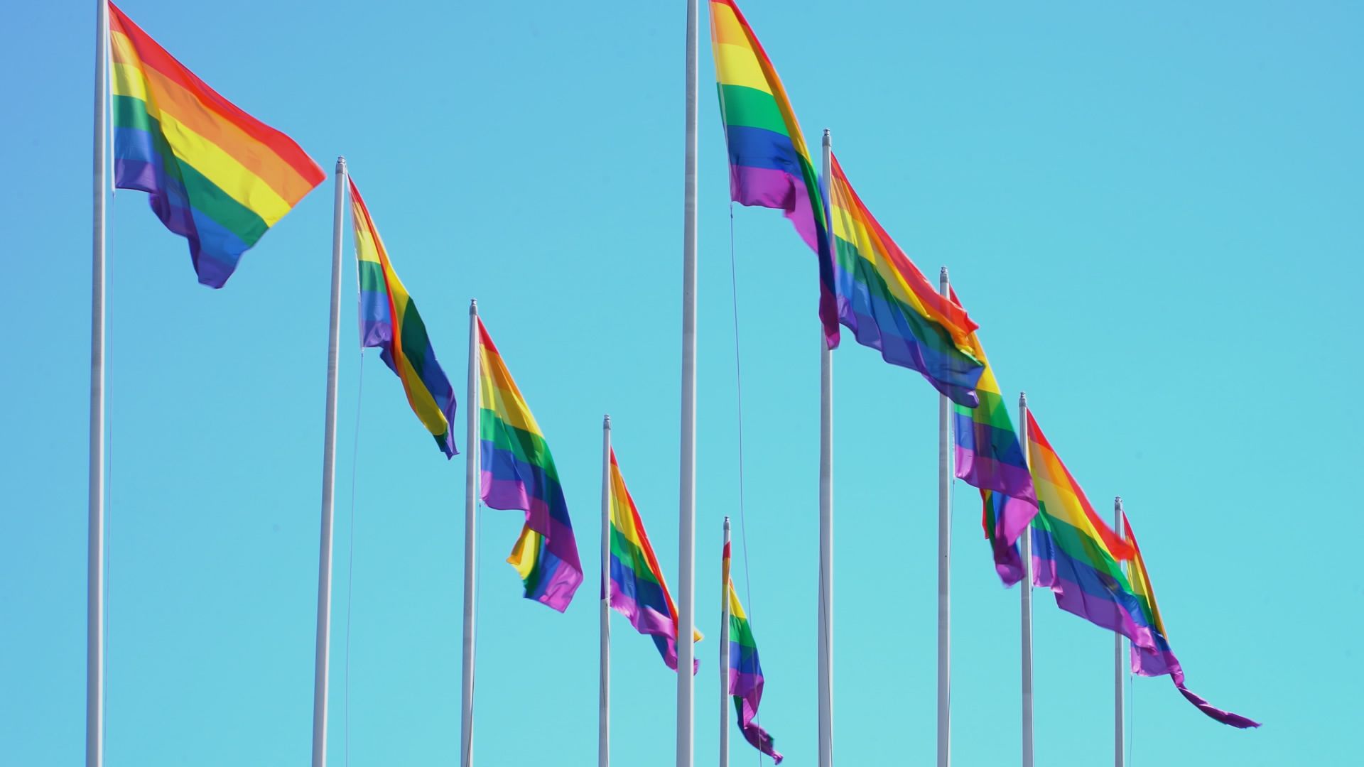 What is the history of same-sex marriage?