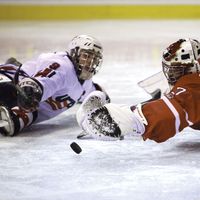 2010 Paralympic Winter Games