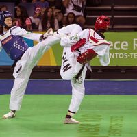 International Taekwondo Tournament