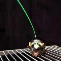 Optogenetics