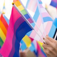 LGBTQ pride flags