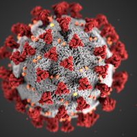 coronavirus