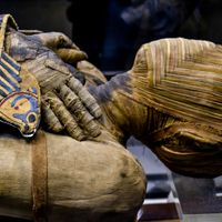 a well preserved Egyptian mummy from the Ptolemaic Period