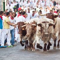 Fiesta de San Fermín