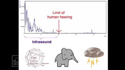 What is the scientific explanation behind ghosts sightings and other supernatural apparitions?