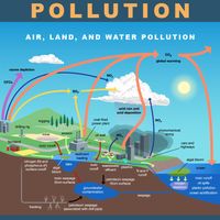 Pollution graphic