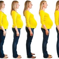 Physical changes of pregnancy