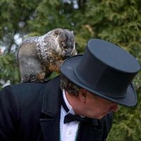 Groundhog Day