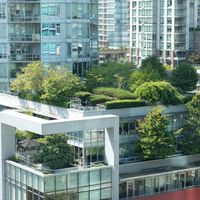 Rooftop gardens