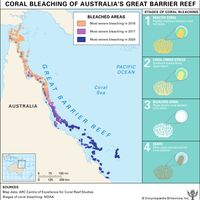 Great Barrier Reef: coral bleaching