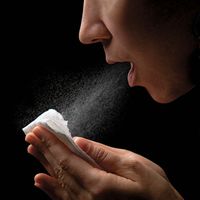 sneezing; sneeze reflex