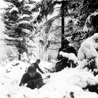 Bulge, Battle of the