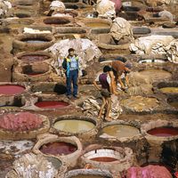tannery; Fès, Morocco