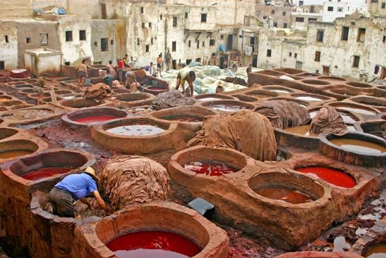 Fès, Morocco: tannery