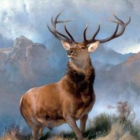 Sir Edwin Landseer: The Monarch of the Glen