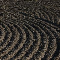 Tilled farmland