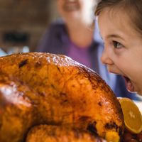 Thanksgiving: turkey