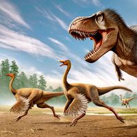 Struthiomimus and Tyrannosaurus rex