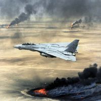 Persian Gulf War: U.S. Navy F-14A Tomcat