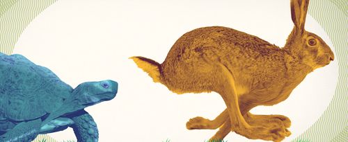 Variable vs fixed annuities, photo illustration image: Rabbit outrunning a tortoise.