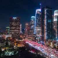 Understand the effects of light pollution on the environment and humans