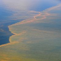 Deepwater Horizon oil spill