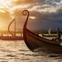 Viking ships
