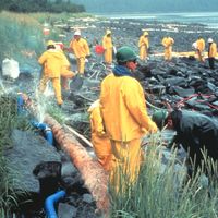 Exxon Valdez oil spill
